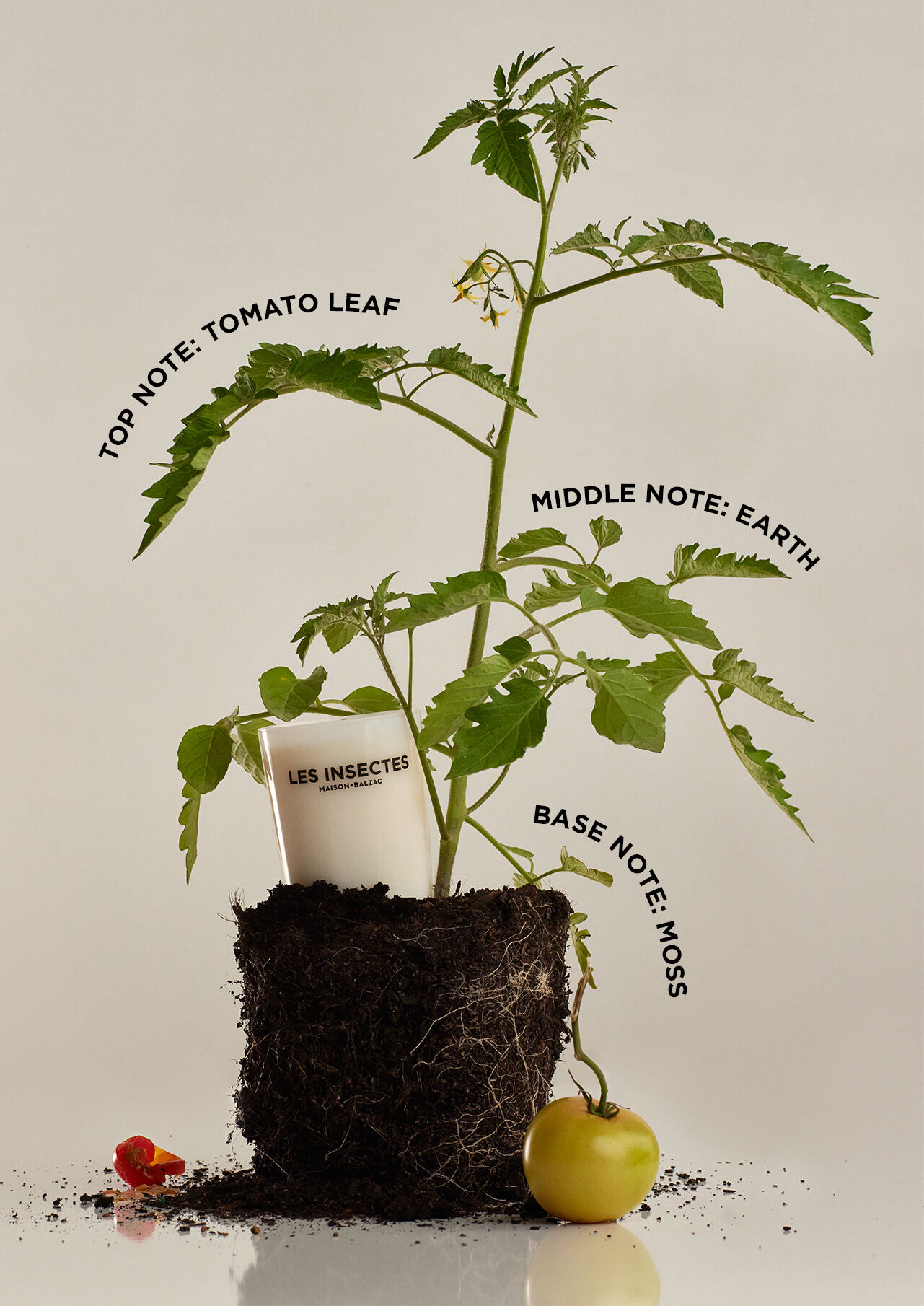 TOP NOTE: TOMATO LEAF | MIDDLE NOTE: EARTH | BASE NOTE: MOSS